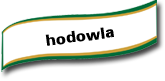 Hodowla