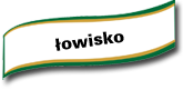 owisko